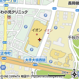 ピノーレイオン長岡店周辺の地図