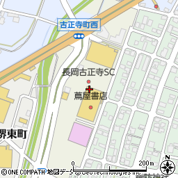 デルゼビッグサイト長岡古正寺店周辺の地図
