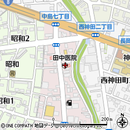 大手薬局　中島店周辺の地図