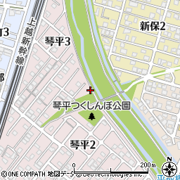 新潟県長岡市琴平3丁目8周辺の地図