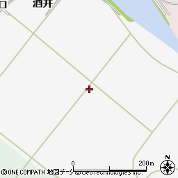 福島県浪江町（双葉郡）酒井周辺の地図