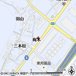 福島県本宮市荒井梅木周辺の地図