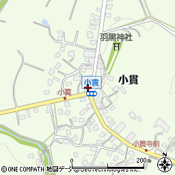 新潟県長岡市小貫290周辺の地図