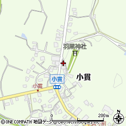 新潟県長岡市小貫264周辺の地図