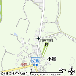 新潟県長岡市小貫262周辺の地図