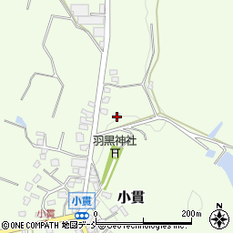 新潟県長岡市小貫3076周辺の地図