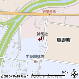 新潟県長岡市三島中条230周辺の地図