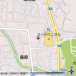 Cafe Active周辺の地図
