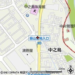 新潟県長岡市中之島3831周辺の地図