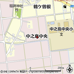 新潟県長岡市中之島中央周辺の地図