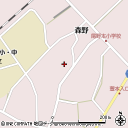 福島県耶麻郡西会津町尾野本向谷地甲周辺の地図