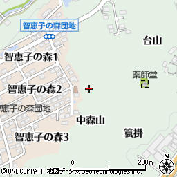 福島県二本松市油井中森山周辺の地図