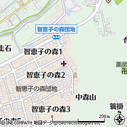 福島県二本松市智恵子の森2丁目10周辺の地図