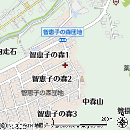 福島県二本松市智恵子の森2丁目11周辺の地図