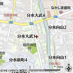 新潟県燕市分水大武周辺の地図
