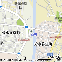 新潟県燕市地蔵堂224周辺の地図