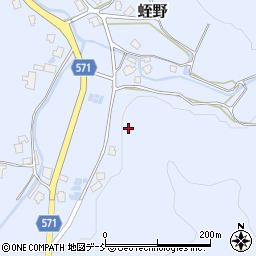 新潟県五泉市蛭野1107周辺の地図