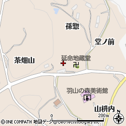 福島県伊達郡川俣町西福沢茶畑周辺の地図