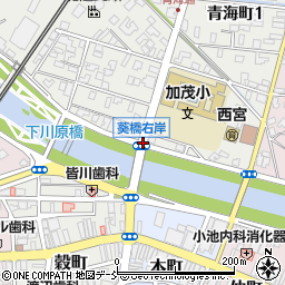 葵橋右岸周辺の地図