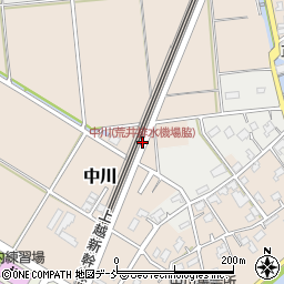 中川(荒井排水機場脇)周辺の地図
