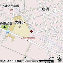 福島県福島市大森南中道1周辺の地図