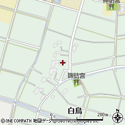 新潟県新潟市西蒲区白鳥544-1周辺の地図