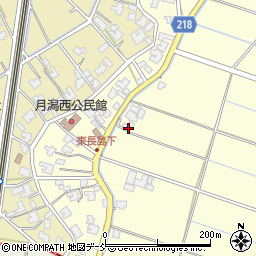 新潟県新潟市南区東長嶋307周辺の地図