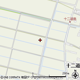 〒950-1432 新潟県新潟市南区十二道島の地図