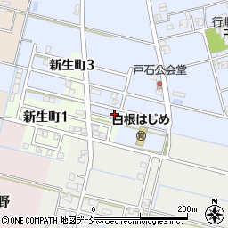 新潟県新潟市南区戸石604-12周辺の地図