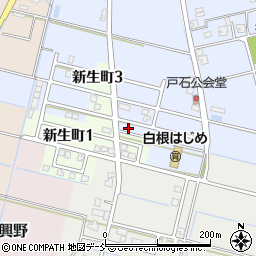 新潟県新潟市南区戸石612-13周辺の地図