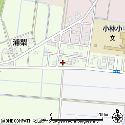 新潟県新潟市南区浦梨205周辺の地図