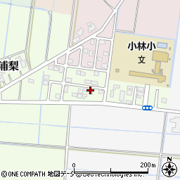 新潟県新潟市南区浦梨210周辺の地図