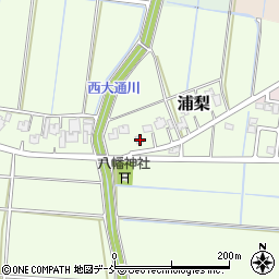 新潟県新潟市南区浦梨564周辺の地図