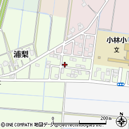 新潟県新潟市南区浦梨204周辺の地図