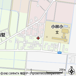 新潟県新潟市南区浦梨978周辺の地図
