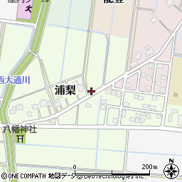 新潟県新潟市南区浦梨142周辺の地図