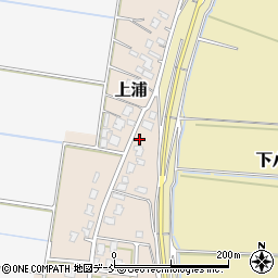 新潟県新潟市南区上浦181周辺の地図