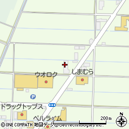 株式会社新潟クボタ　巻営業所周辺の地図