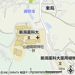 学校法人新潟科学技術学園周辺の地図