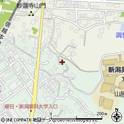 新潟県新潟市秋葉区朝日985周辺の地図