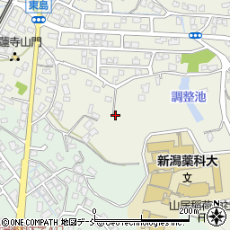 新潟県新潟市秋葉区東島周辺の地図