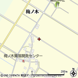 新潟県新潟市秋葉区梅ノ木周辺の地図