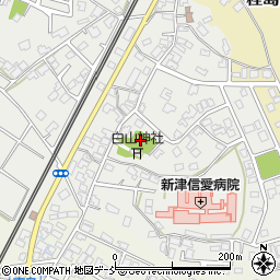 新潟県新潟市秋葉区中村周辺の地図