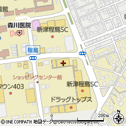 蔦屋書店新津店周辺の地図