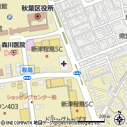 ダイソー新津程島ＳＣ店周辺の地図