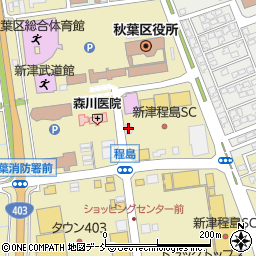 モスバーガー新津程島店周辺の地図