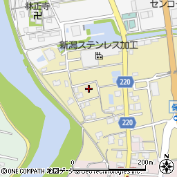 新潟県新潟市南区保坂48周辺の地図