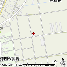 新潟県新潟市秋葉区蕨曽根185周辺の地図