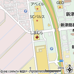 新潟県新潟市秋葉区新津4572-1周辺の地図
