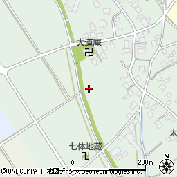 新潟県新潟市秋葉区東金沢周辺の地図
